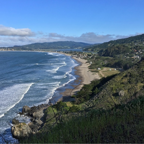 Meet your Posher, Sandra - Picture 1 of 1